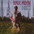 Raul Midon, A World Within a World mp3