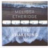 Melissa Etheridge, The Awakening mp3