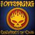 The Offspring, Conspiracy Of One mp3
