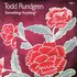 Todd Rundgren, Something/Anything? mp3