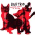 Dub Trio, Another Sound Is Dying mp3