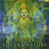 Deuter, Buddha Nature mp3