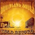 The Bouncing Souls, The Gold Record mp3