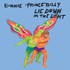 Bonnie Prince Billy, Lie Down in the Light mp3
