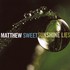 Matthew Sweet, Sunshine Lies mp3