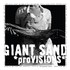 Giant Sand, *proVISIONS* mp3