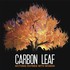 Carbon Leaf, Nothing Rhymes With Woman mp3