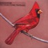 Alexisonfire, Old Crows / Young Cardinals mp3