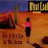 Meat Loaf, Not A Dry Eye In The House mp3