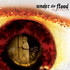 Under The Flood, The Witness mp3