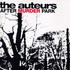 The Auteurs, After Murder Park mp3