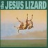 The Jesus Lizard, Down mp3
