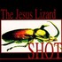 The Jesus Lizard, Shot mp3