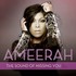 Ameerah, The Sound of Missing You mp3