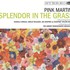 Pink Martini, Splendor in the Grass mp3