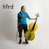 Bird, Girl And A Cello mp3