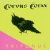 Corvus Corax, Tritonus mp3