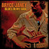 Bryce Janey, Blues in My Soul mp3