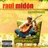 Raul Midon, Synthesis mp3