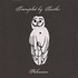 Trampled by Turtles, Palomino mp3