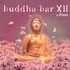 Ravin, Buddha-Bar XII mp3