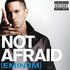 Eminem, Not Afraid mp3