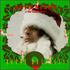 Mojo Nixon & the Toadliquors, Horny Holidays mp3
