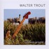 Walter Trout, Common Ground mp3