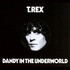 T. Rex, Dandy in the Underworld mp3