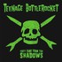 Teenage Bottlerocket, They Came From the Shadows mp3