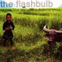 The Flashbulb, Resent and the April Sunshine Shed mp3