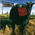 blink-182, Dude Ranch mp3