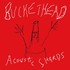 Buckethead, Acoustic Shards mp3