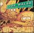 Joe Walsh, Songs for a Dying Planet mp3