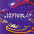 Wishbone Ash, Trance Visionary mp3