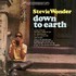 Stevie Wonder, Down to Earth mp3