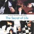 The Ukulele Orchestra of Great Britain, The Secret of Life mp3