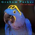 Graham Parker, The Real Macaw mp3