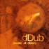 dDub, Awake at Dawn mp3