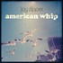Joy Zipper, American Whip mp3