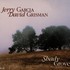 Jerry Garcia & David Grisman, Shady Grove mp3
