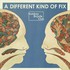 Bombay Bicycle Club, A Different Kind Of Fix mp3
