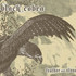 Black Cobra, Feather and Stone mp3