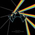 Pink Floyd, The Dark Side Of The Moon (Immersion Box Set) mp3