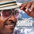 Shaggy, Summer In Kingston mp3