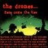 The Drones, Here Come The Lies mp3