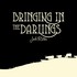 Josh Ritter, Bringing In The Darlings mp3