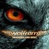 Wolfram, Shadows And Dust mp3