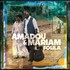 Amadou & Mariam, Folila mp3