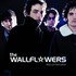 The Wallflowers, Red Letter Days mp3